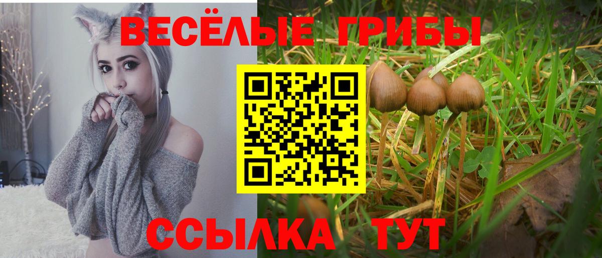 Псилоцибиновые грибы MAGIC MUSHROOMS  Вход с VPN  Рыбинск 