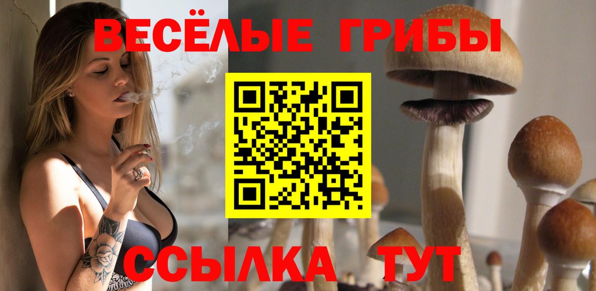 Псилоцибиновые грибы ЛСД Рыбинск